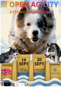 II OPEN AGILITY
